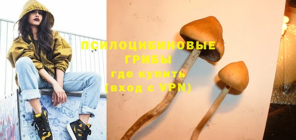 стафф Куйбышев