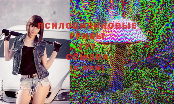 каннабис Кукмор