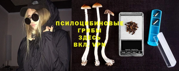 mdpv Ладушкин